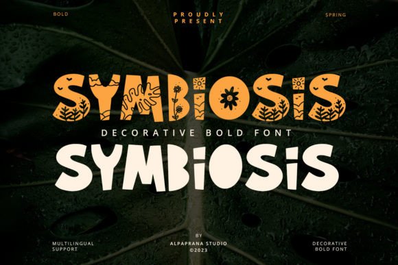 Symbiosis: A Display Font That Feels Like a Conversation
